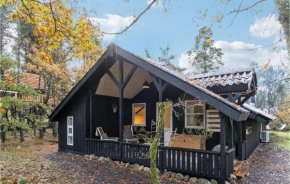 Awesome Home In Oksbøl With Wifi